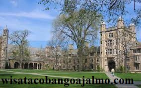 Universitas Luar Negeri Yang Menjadi ncaran Mahasiswa Indonesia